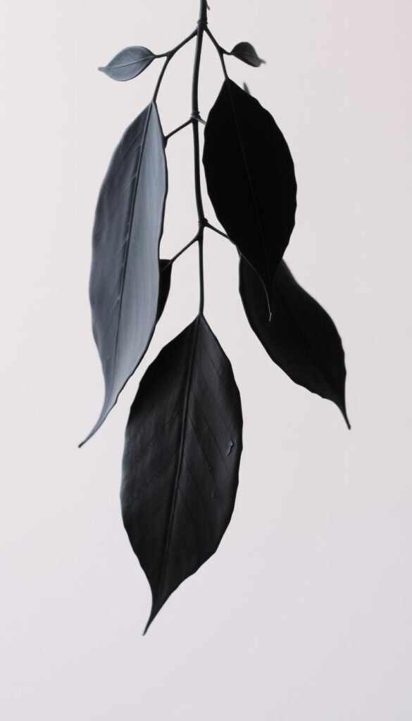 Image of black painted leaves on a string